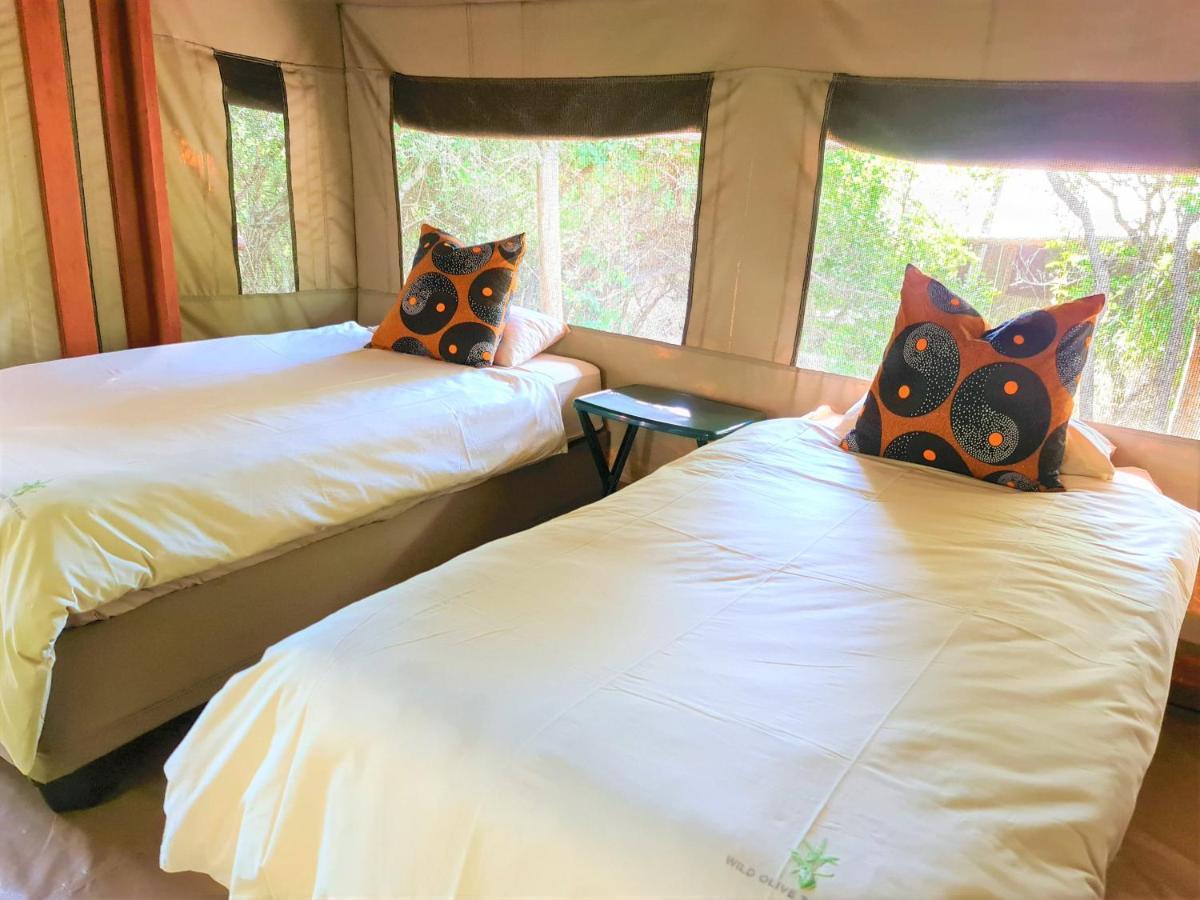 Hotel The Wild Olive Tree Camp Welverdiend  Exterior foto
