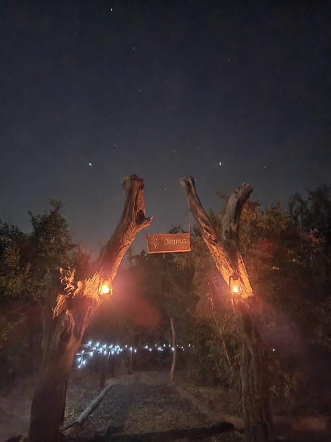 Hotel The Wild Olive Tree Camp Welverdiend  Exterior foto